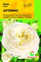 Роза Артемис (Шраб) С ЦВ.ЭТИКЕТКОЙ 1шт (Сиб сад)