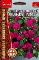 Бальзамин Уоллера Athena Bright Purple F1 ампельный однолетник 5шт (Ред.Сем)