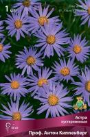Астра Проф.Антон Киппенберг 1шт (Поиск)