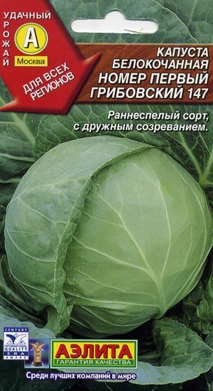 Грибовская капуста описание. Капуста белокочанная Грибовский 147. Капуста номер 1 Грибовский 147. Капуста белокочанная номер первый Грибовский 147. Капуста Грибовская семена.