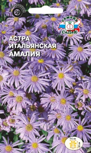 Астра итальянская Амалия 0,1г (Седек)