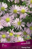 Астра Питер Пэн 1шт (Поиск)