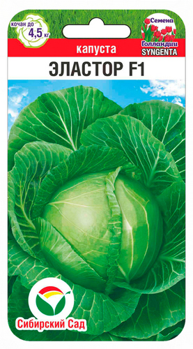 Капуста белокочанная Эластор F1 10шт (Сиб Сад)