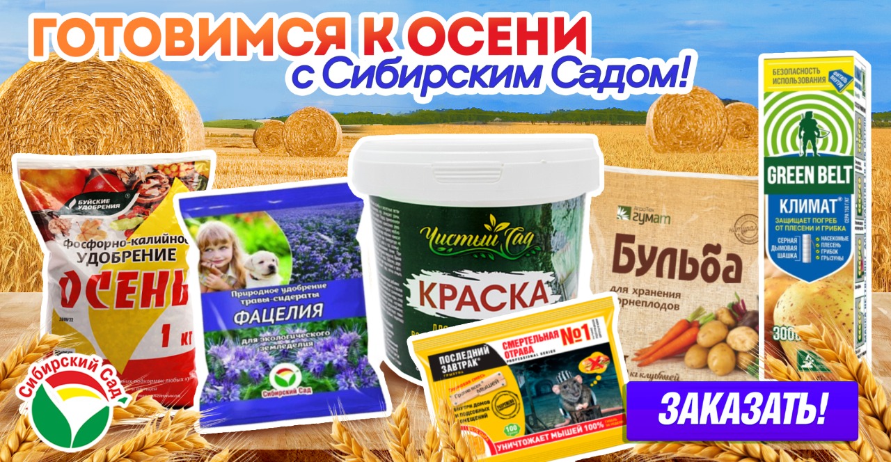 Осеннее