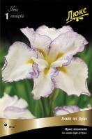 Ирис Лайт эт Дон (Японский) 1шт (Поиск)