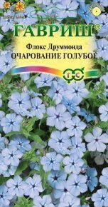 Флокс Друм Очарование голубое однолетник 0,05г (Гавриш)