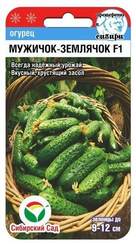 Огурец МУЖИЧОК-ЗЕМЛЯЧОК F1 7шт (Сиб Сад)