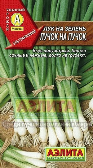 Лук на зелень Лучок на пучок 0,5г (Аэлита)