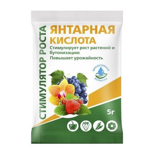 Янтарная кислота 4г (БиоМастер)(150шт)