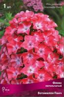 Флокс Вотермелон Панч 1шт (Поиск)