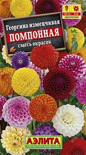 Георгина Помпонная смесь однолетник 0,25г (АэлитаЭкстра) Георгина Помпонная смесь однолетник 0,25г (АэлитаЭкстра)