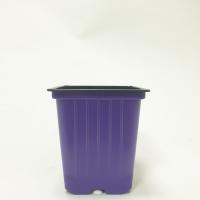 Горшок 0,55л 9*9*10 лаванда КВ (Амина)(1500шт) 