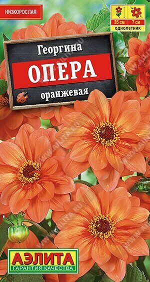 Георгина Опера оранжевая однолетник 7шт (Аэлита) Георгина Опера оранжевая однолетник 7шт (Аэлита)