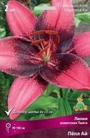 Лилия Пепл Ай (Азиатская/Танго) 12/14 3шт (Поиск)