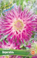 Георгина Веритабль 1шт (Колорлайн)
