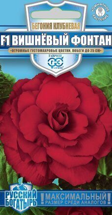 Бегония Вишневый фонтан F1 Русский богатырь 4шт (Гавриш) Бегония Вишневый фонтан F1 Русский богатырь 4шт (Гавриш)