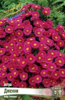 Астра Дженни 1шт (Колорлайн)