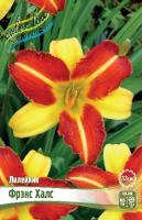 Лилейник Фрэнс Халс 2шт (Колорлайн)