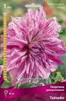 Георгина Тайхейо 1шт (Поиск)