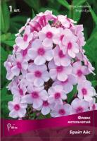 Флокс Брайт Айз 1шт (Поиск)