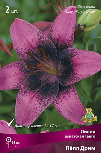 Лилия Пепл Дрим (Азиатская/Танго) 12/14 2шт (Поиск)