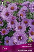 Астра Вайбрант Доум 1шт (Поиск)