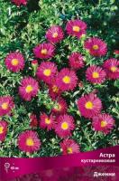 Астра Дженни 1шт (Поиск)