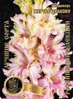 Гладиолус Жертва Дракону 473/443,Фотин Экстра 7шт (Ф)