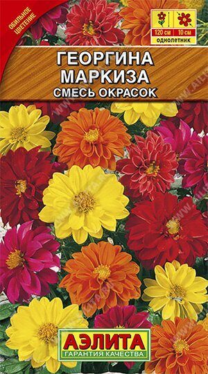 Георгина Маркиза смесь 10шт (Аэлита)