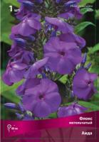 Флокс Аида 1шт (Поиск)