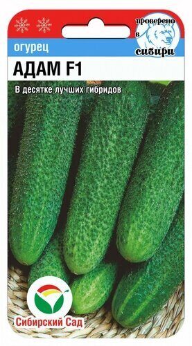 Огурец Адам F1 5шт (Сиб сад)