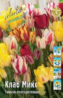 Тюльпан Клаб Микс 11/12 7шт (Колорлайн)