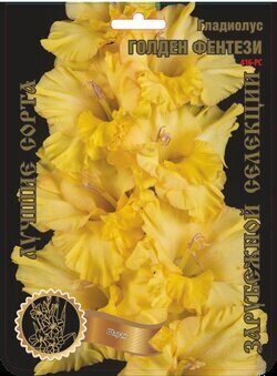 Гладиолус Голден Фентези 416,Шаран Экстра 7шт (Ф)