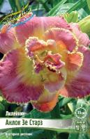 Лилейник Анлок Зе Старз 1шт (Колорлайн)