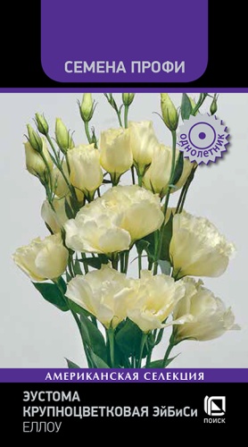 Эустома ЭйБиСи Еллоу Профи крупноцветковая однолетник10шт (Поиск)