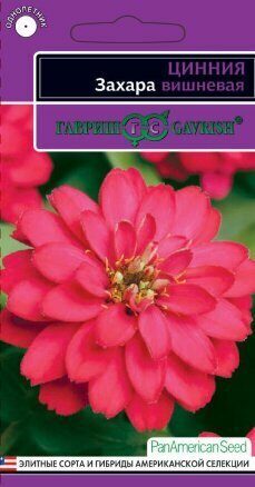 Цинния Захара Вишневая однолетник 5шт (Гавриш)
