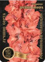 Гладиолус Древняя Амфора 595,Фотин Экстра 7шт (Ф)