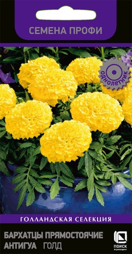 Бархатцы Антигуа Голд ПРОФИ однолетник 15шт (Поиск)