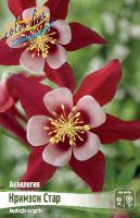 Аквилегия Кримзон Стар 2шт (Колорлайн)