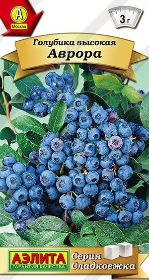 Голубика Аврора высокая 0,01г (Аэлита)