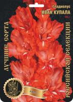 Гладиолус Иван Купала (В-16-447) 455,Фотин Экстра 7шт (Ф)
