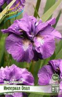Ирис Империал Опал (Сибирский) 1шт (Колорлайн)