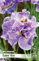 Ирис Хэвинг Фан (Сибирский) 1шт (Колорлайн)