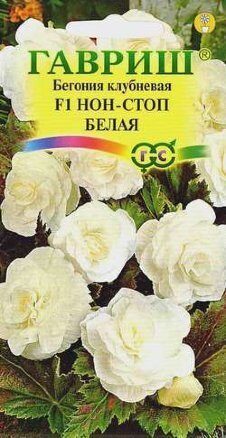 Бегония Нон-стоп F1 белая клубневая 4шт (Гавриш) Бегония Нон-стоп F1 белая клубневая 4шт (Гавриш)
