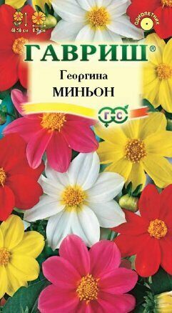 Георгина Миньон смесь однолетник 0,3г (Гавриш) Георгина Миньон смесь однолетник 0,3г (Гавриш)