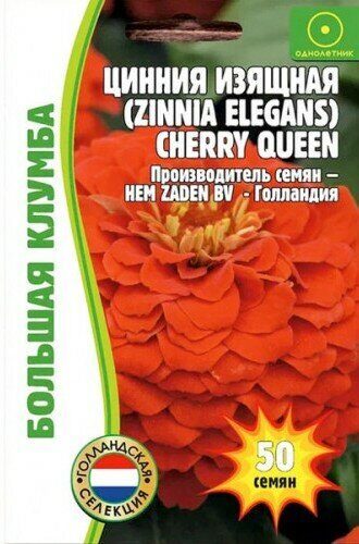 Цинния Cherry Queen изящная Большая клумба однолетник 50шт (Ред.сем)