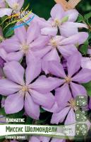 Клематис Миссис Шолмондели 2шт (Колорлайн)
