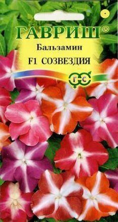 Бальзамин Уоллера Созвездие смесь однолетник 4шт (Гавриш)