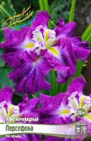Ирис Персефона (Мечевидный) 1шт (Колорлайн)