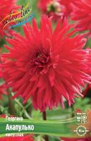 Георгина Акапулько 1шт (Колорлайн)